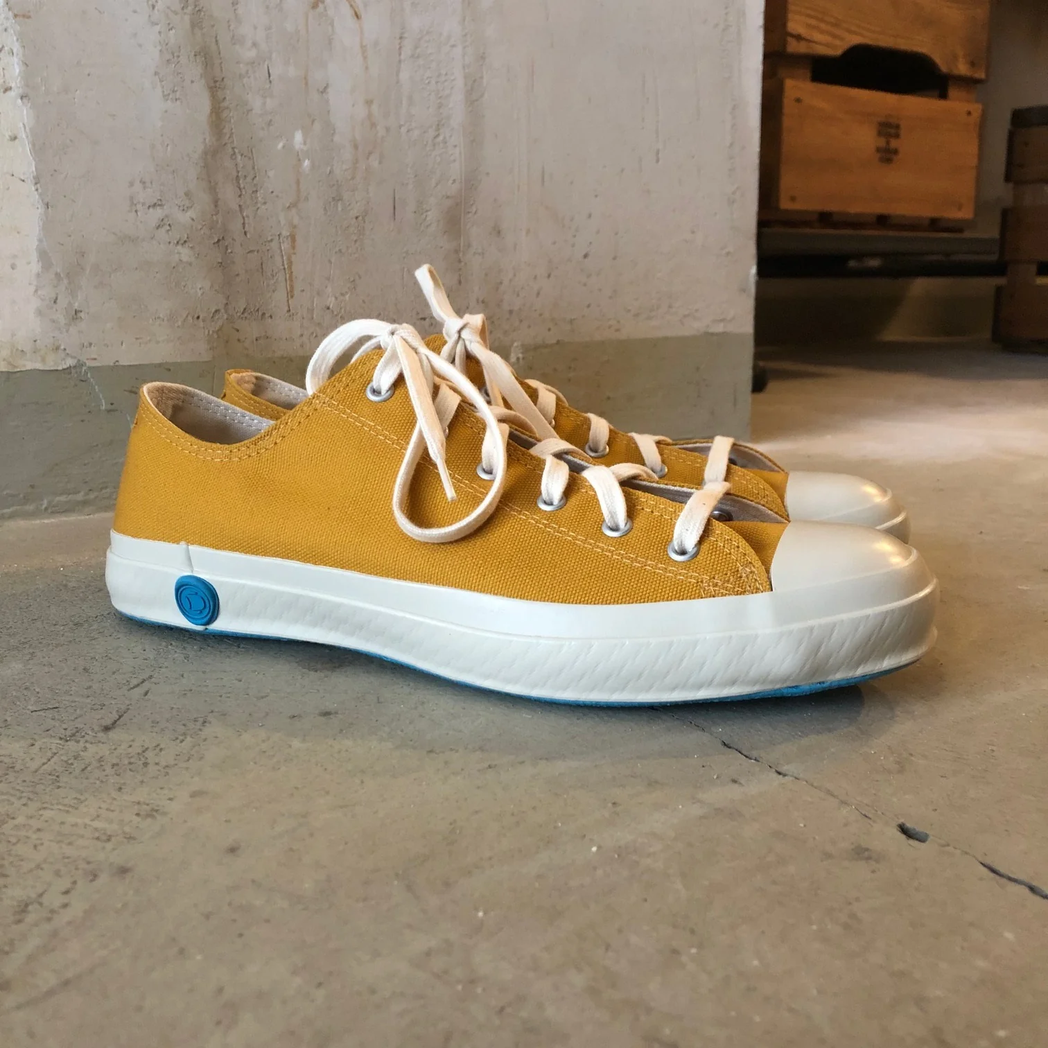 shoes like pottery | mustard low top canvas - Image 2